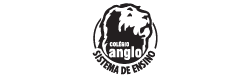 Anglo Anglo